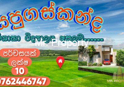 PHOTO-2024-09-30-21-14-44