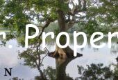 Hotel for sale ambilipitiya