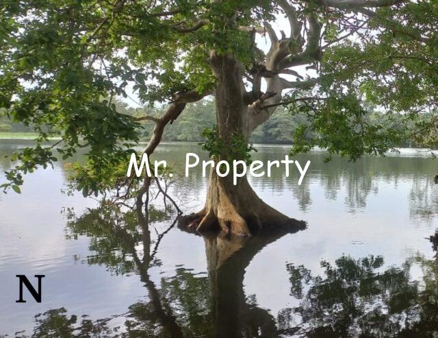 Hotel for sale ambilipitiya