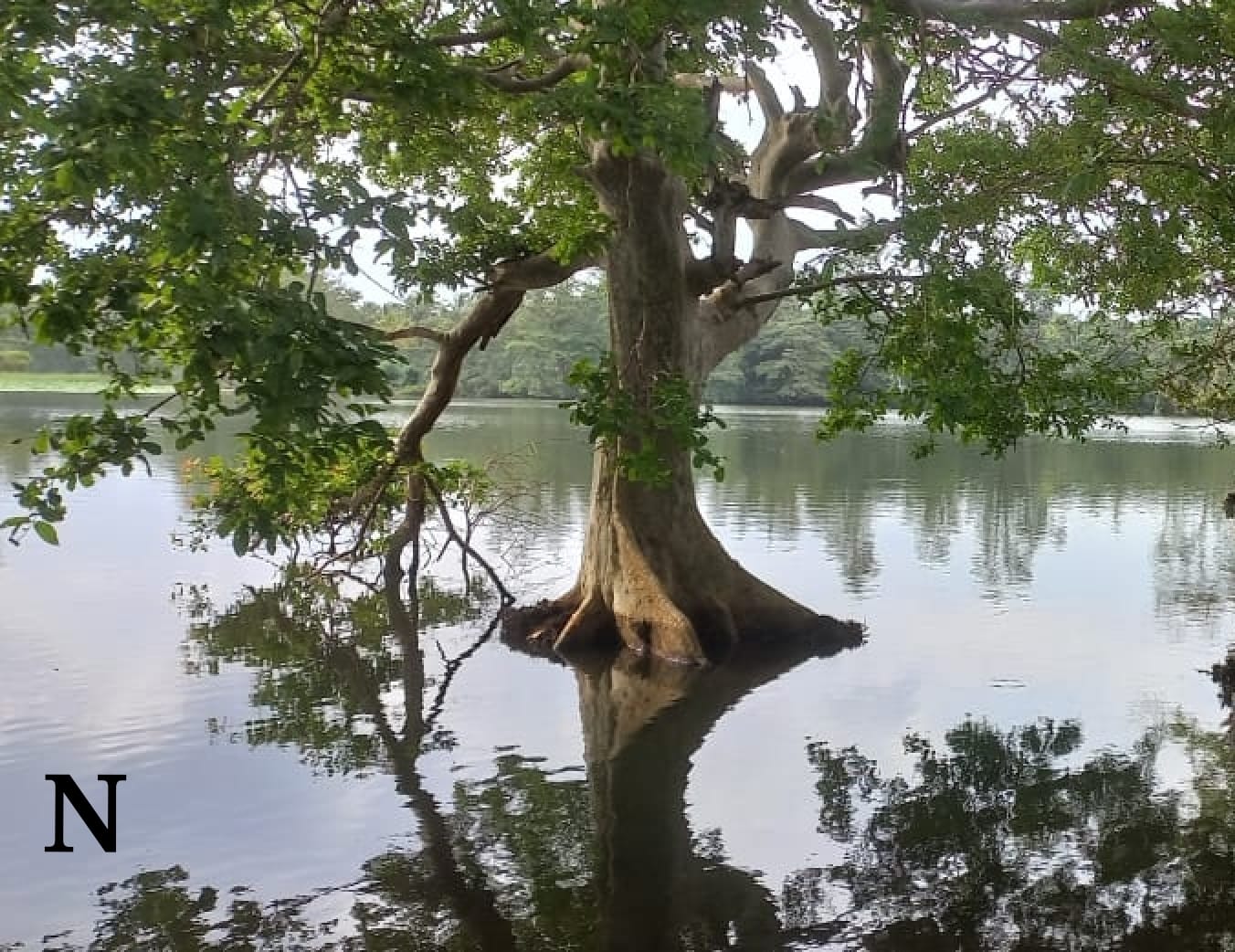 Hotel for sale ambilipitiya