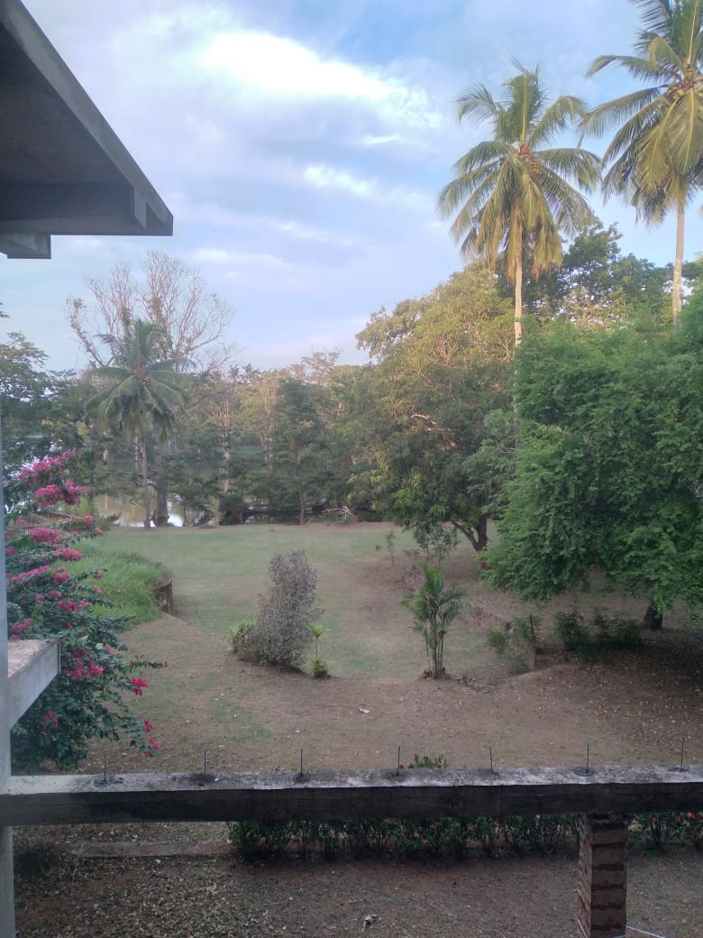 Hotel for sale ambilipitiya