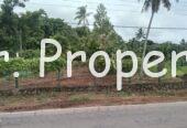 Minuwangoda commercial land for sale