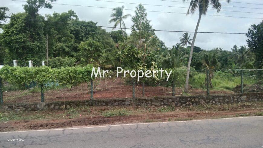 Minuwangoda commercial land for sale