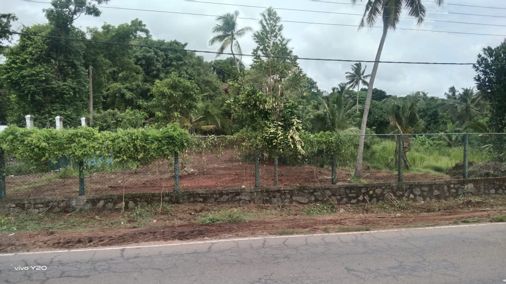 Minuwangoda commercial land for sale
