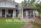Negambo katana house for rent