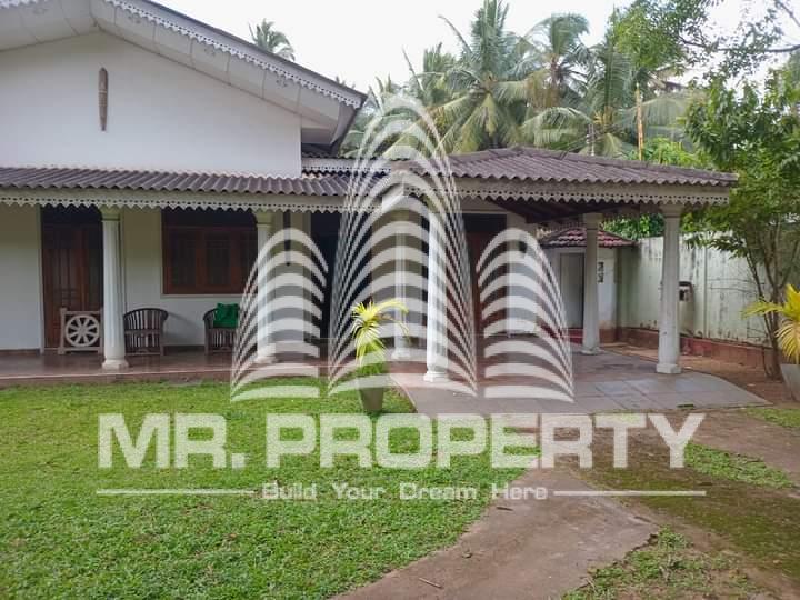 Negambo katana house for rent