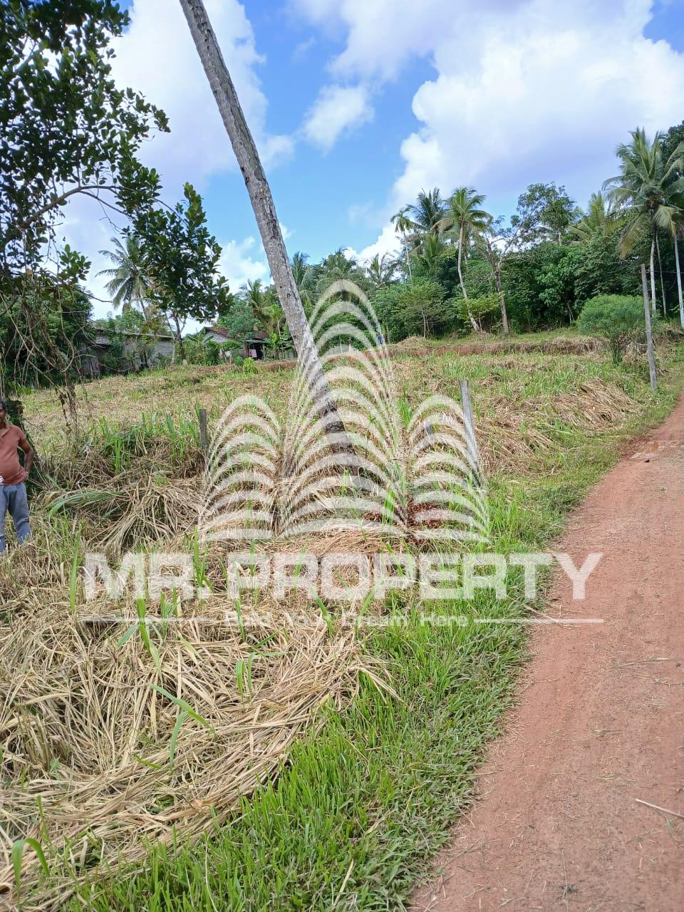 Land for sale pasyala ellakkala