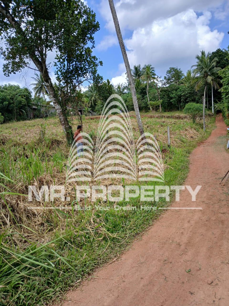 Land for sale pasyala ellakkala