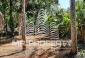 Meerigama land for sale