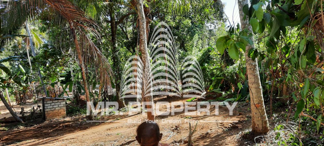 Meerigama land for sale