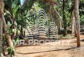 Meerigama land for sale