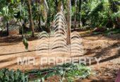 Meerigama land for sale