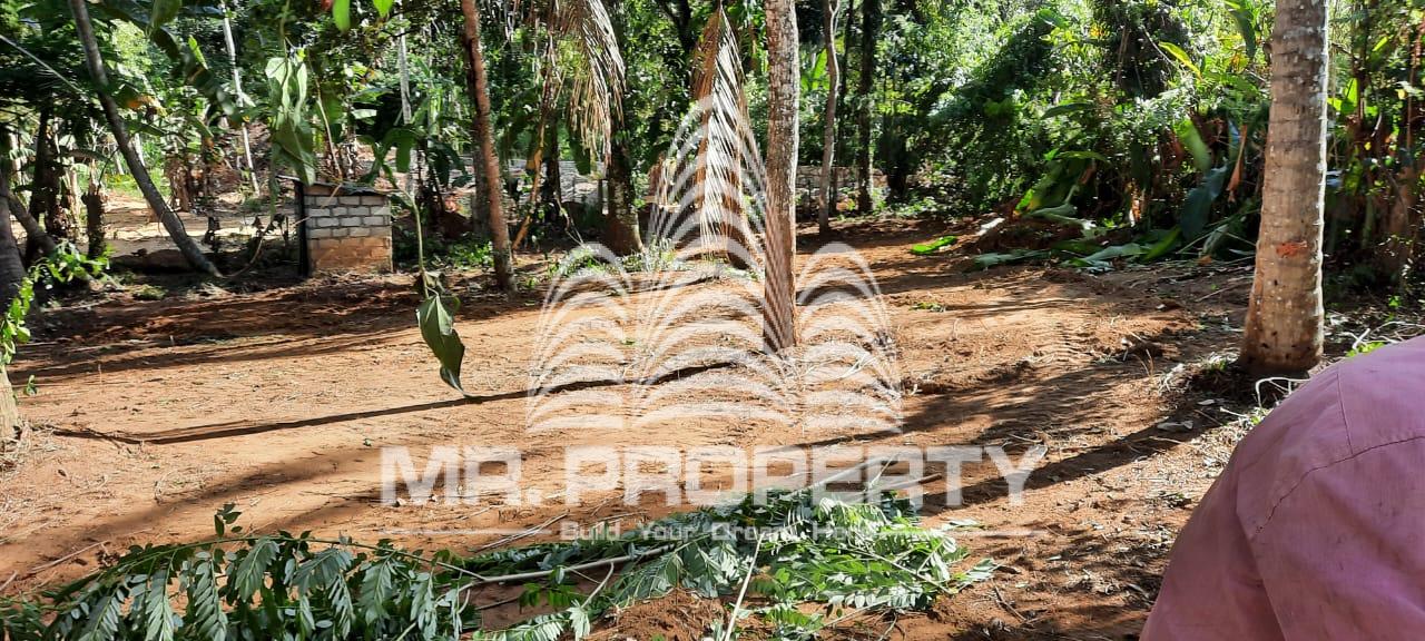 Meerigama land for sale
