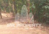 Land for sale pugoda
