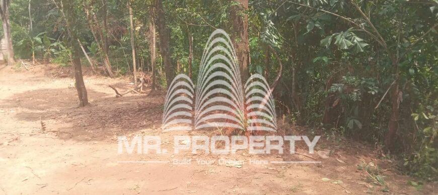 Land for sale pugoda