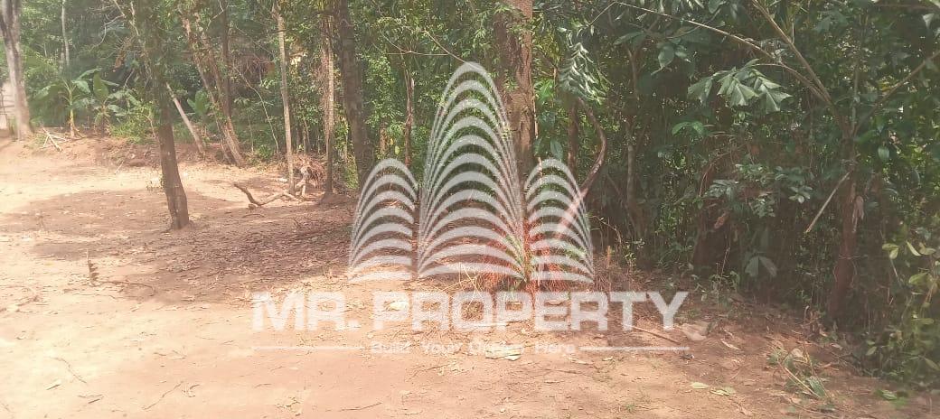 Land for sale pugoda