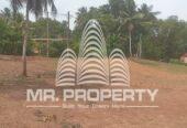 Land for sale pugoda
