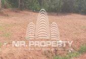 Land for sale pugoda