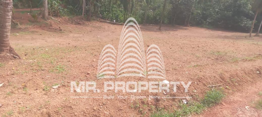Land for sale pugoda