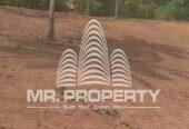 Land for sale pugoda