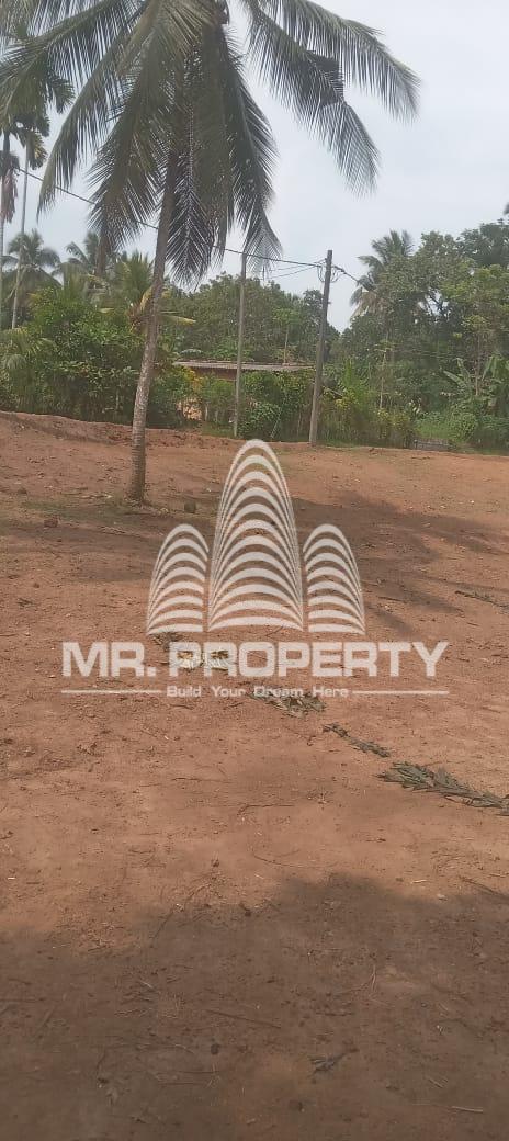 Land for sale pugoda