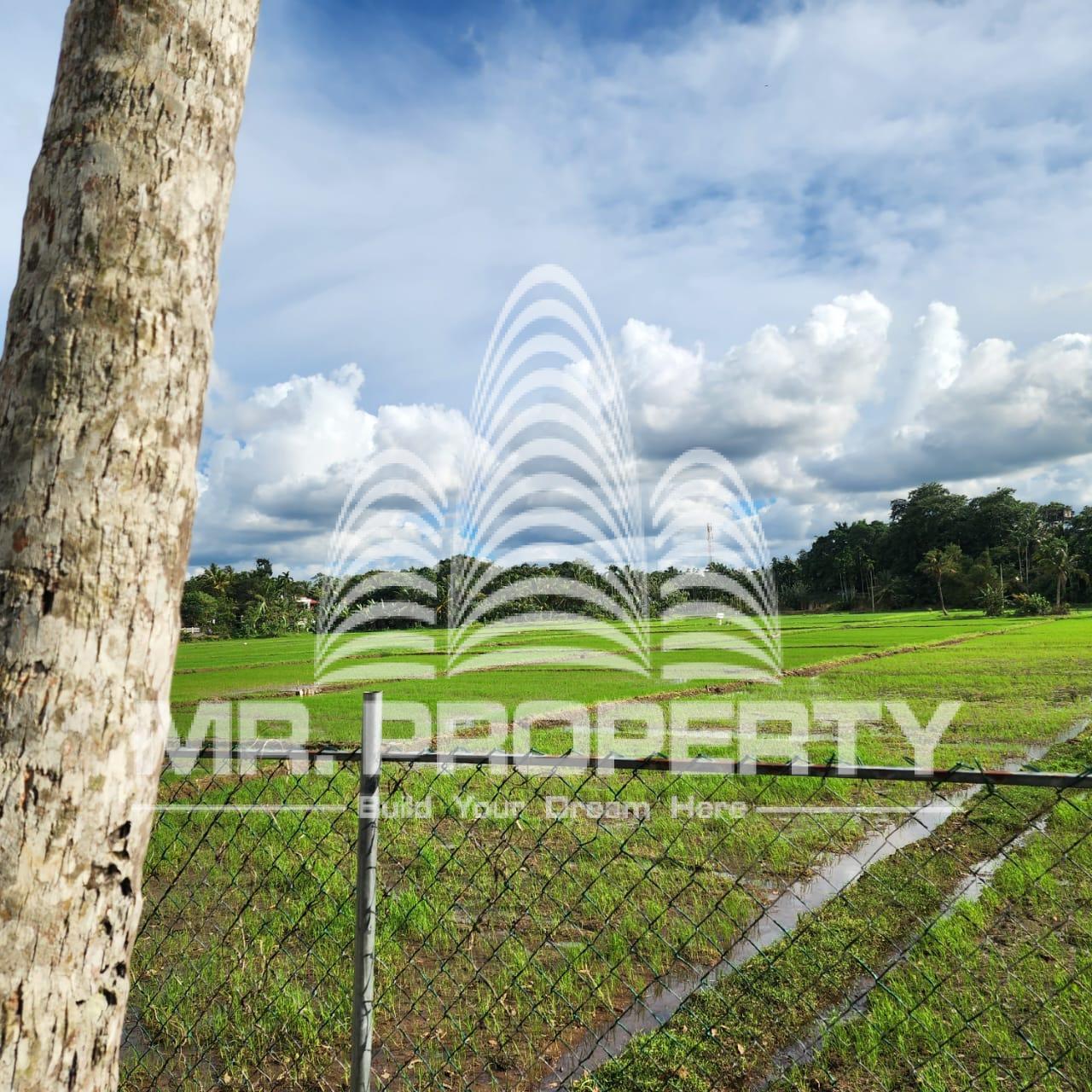 Land for sale colombo road kahathuduwa