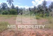 Naiwala land for sale