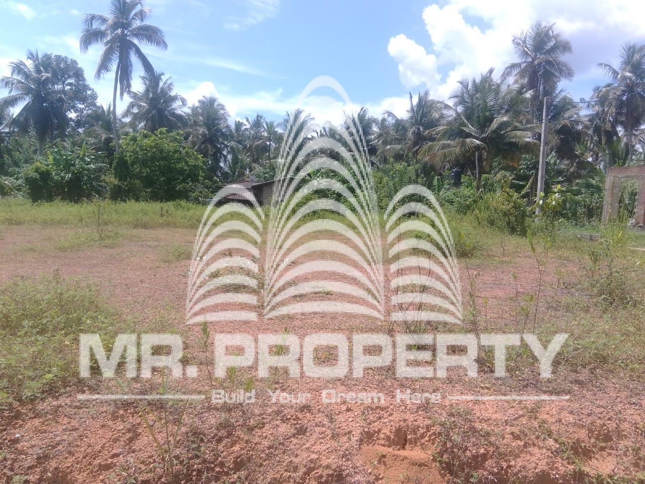 Naiwala land for sale