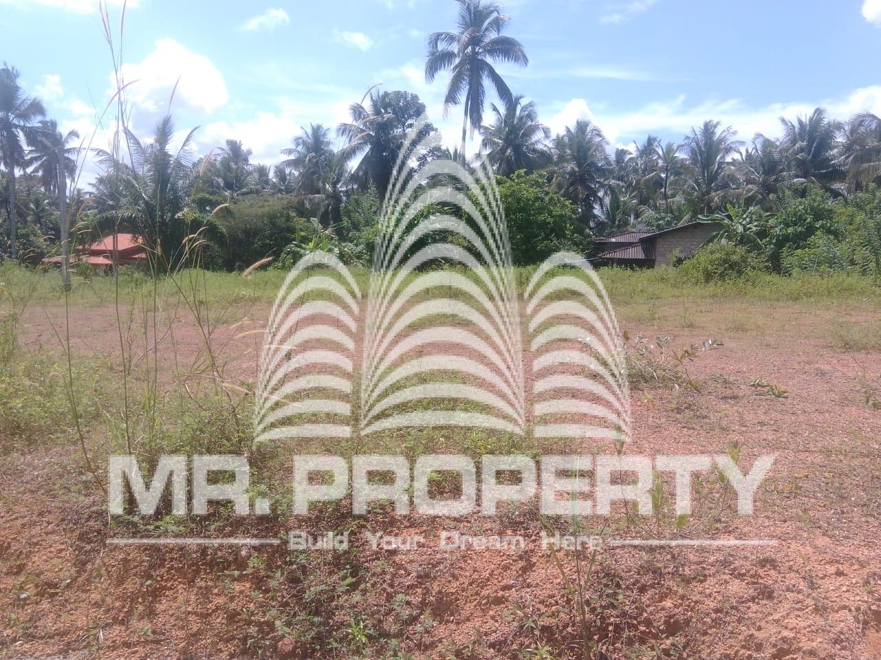 Naiwala land for sale