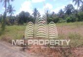 Naiwala land for sale