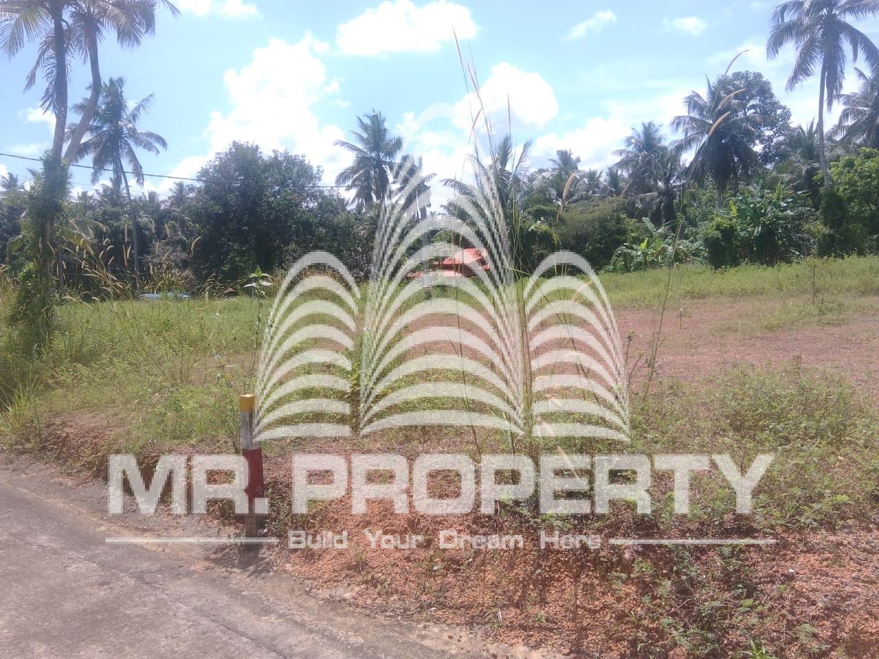Naiwala land for sale