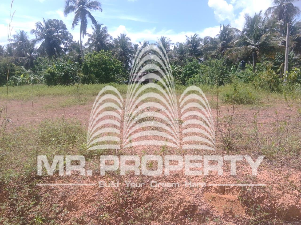 Naiwala land for sale