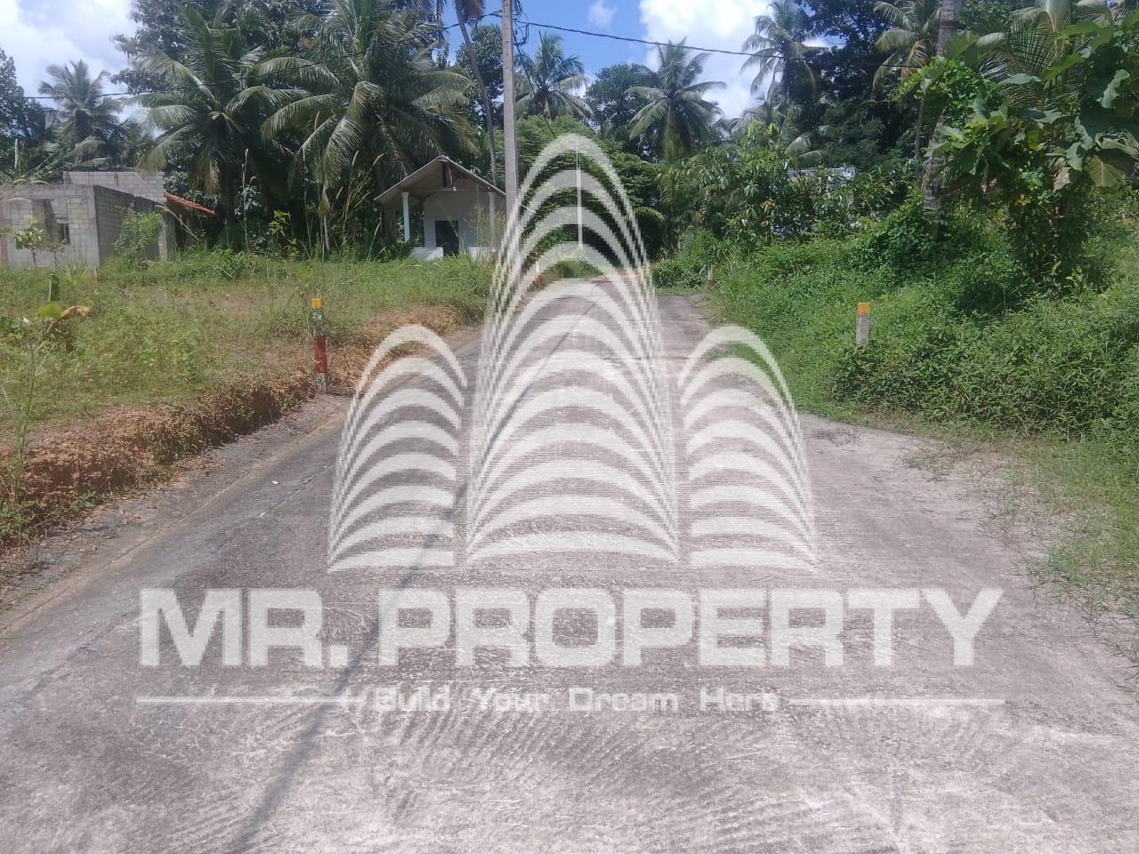 Naiwala land for sale