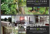 kurunegala agriculture land and farm for sale