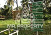 kurunegala agriculture land and farm for sale