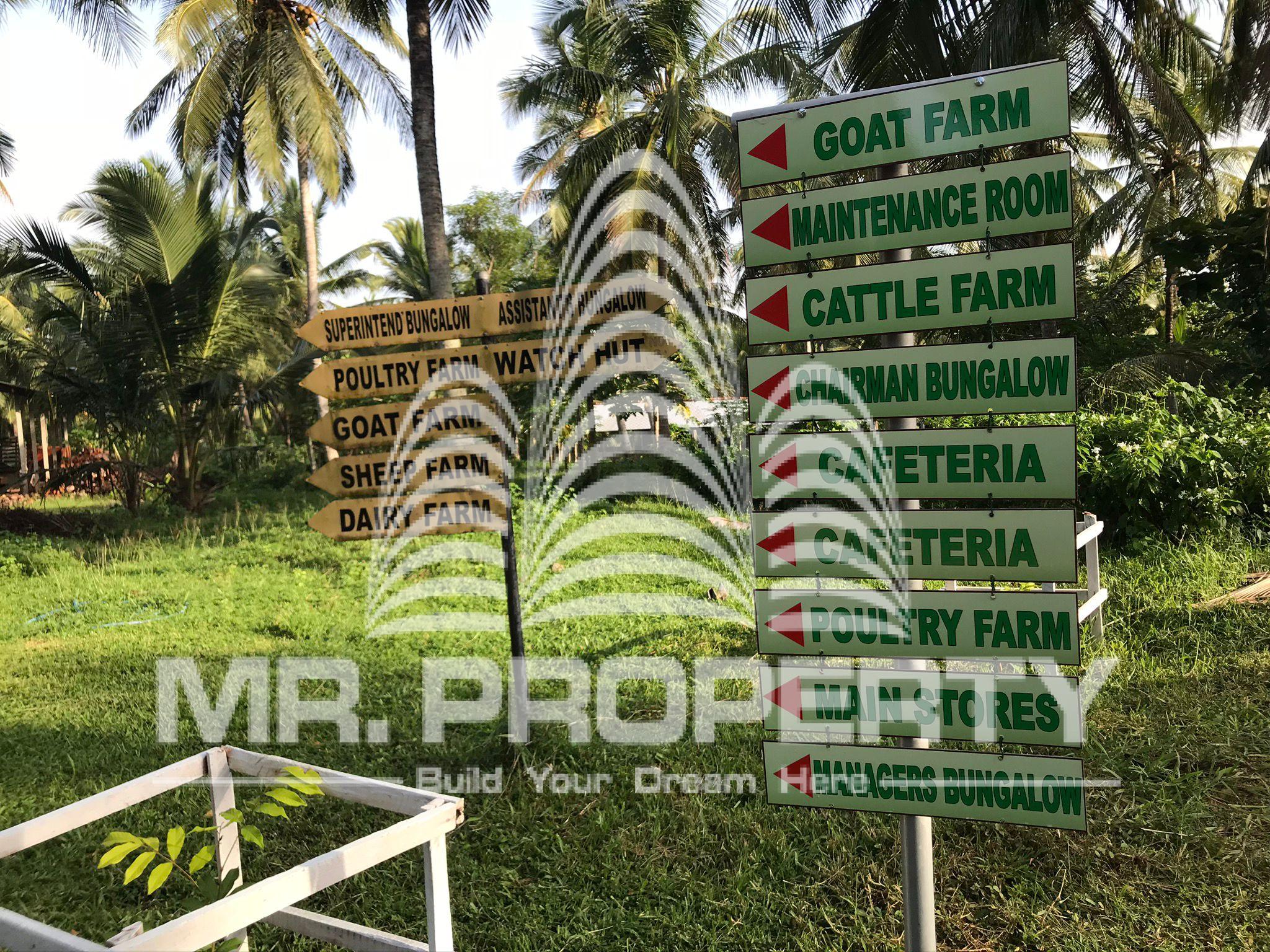 kurunegala agriculture land and farm for sale