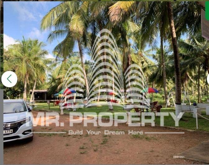 kurunegala agriculture land and farm for sale