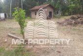 Kuliyapitiya land for sale