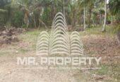 Kuliyapitiya land for sale