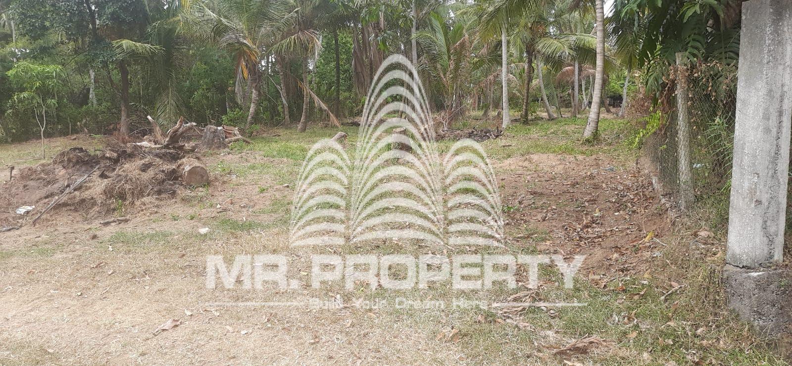 Kuliyapitiya land for sale