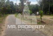 Kuliyapitiya land for sale