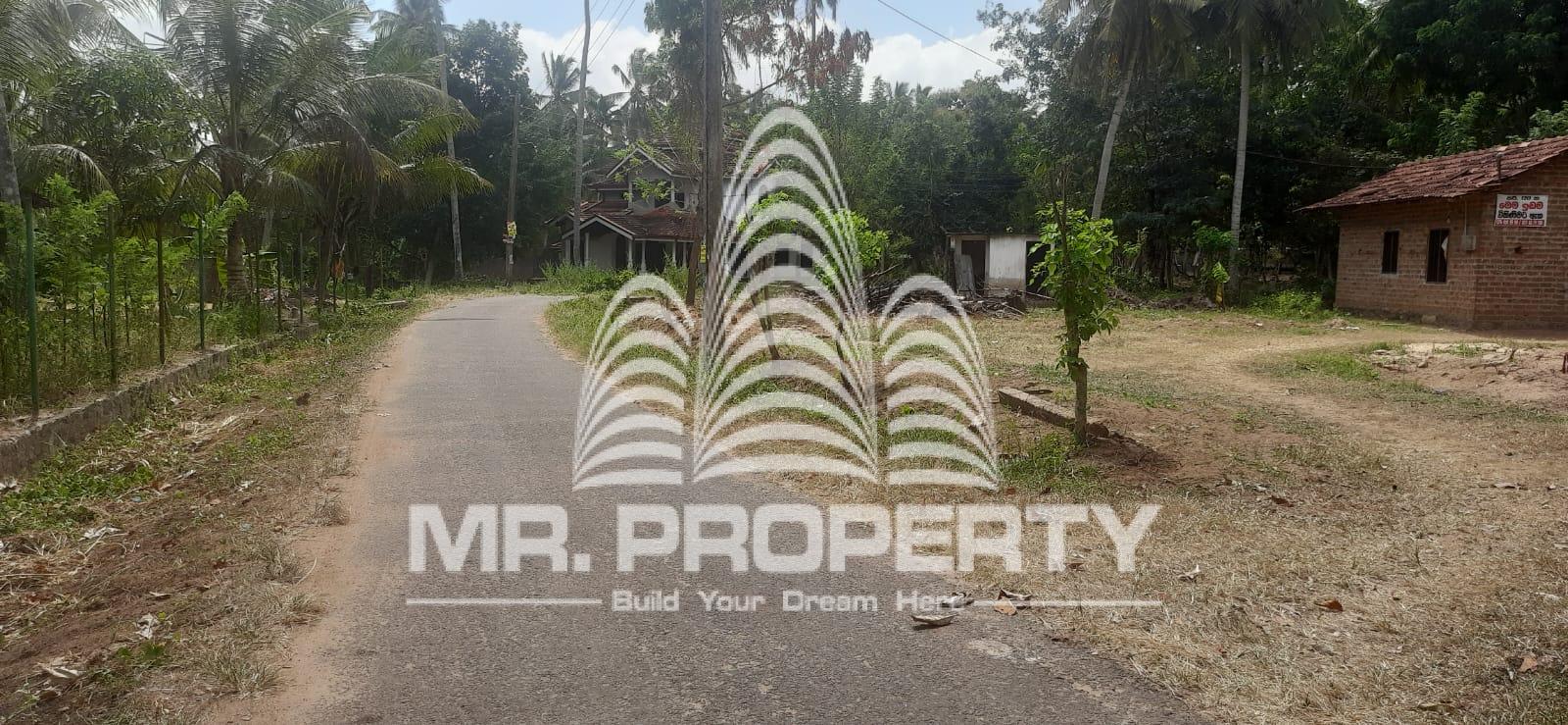 Kuliyapitiya land for sale