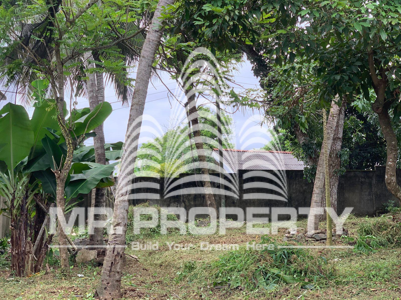 Kadawatha mahara luxurious house for sale
