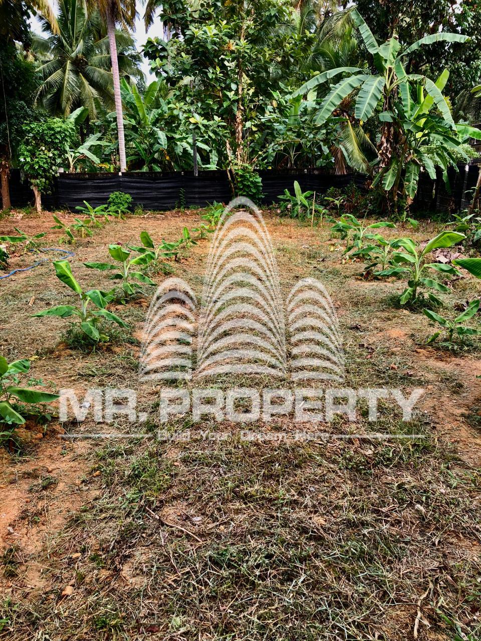 Kaduwela waliwita land for sale