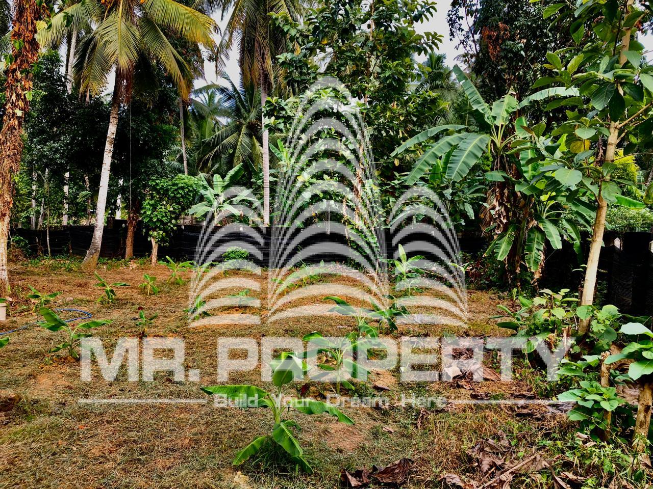 Kaduwela waliwita land for sale