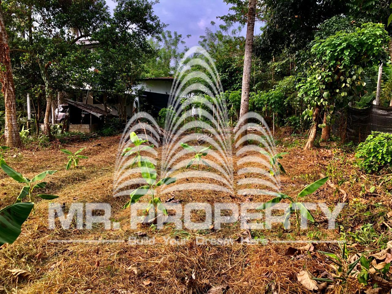 Kaduwela waliwita land for sale