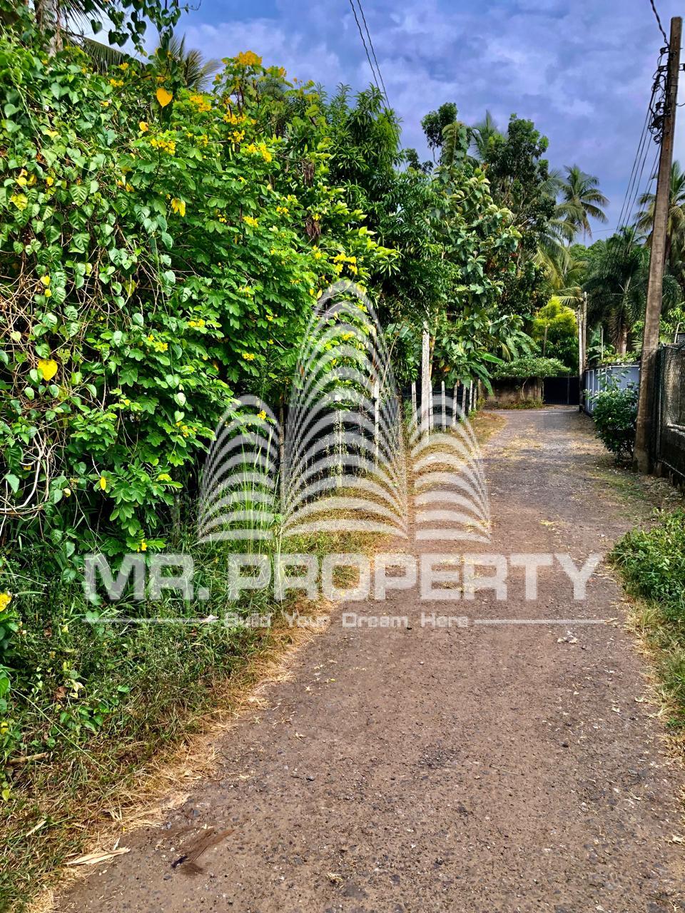 Kaduwela waliwita land for sale