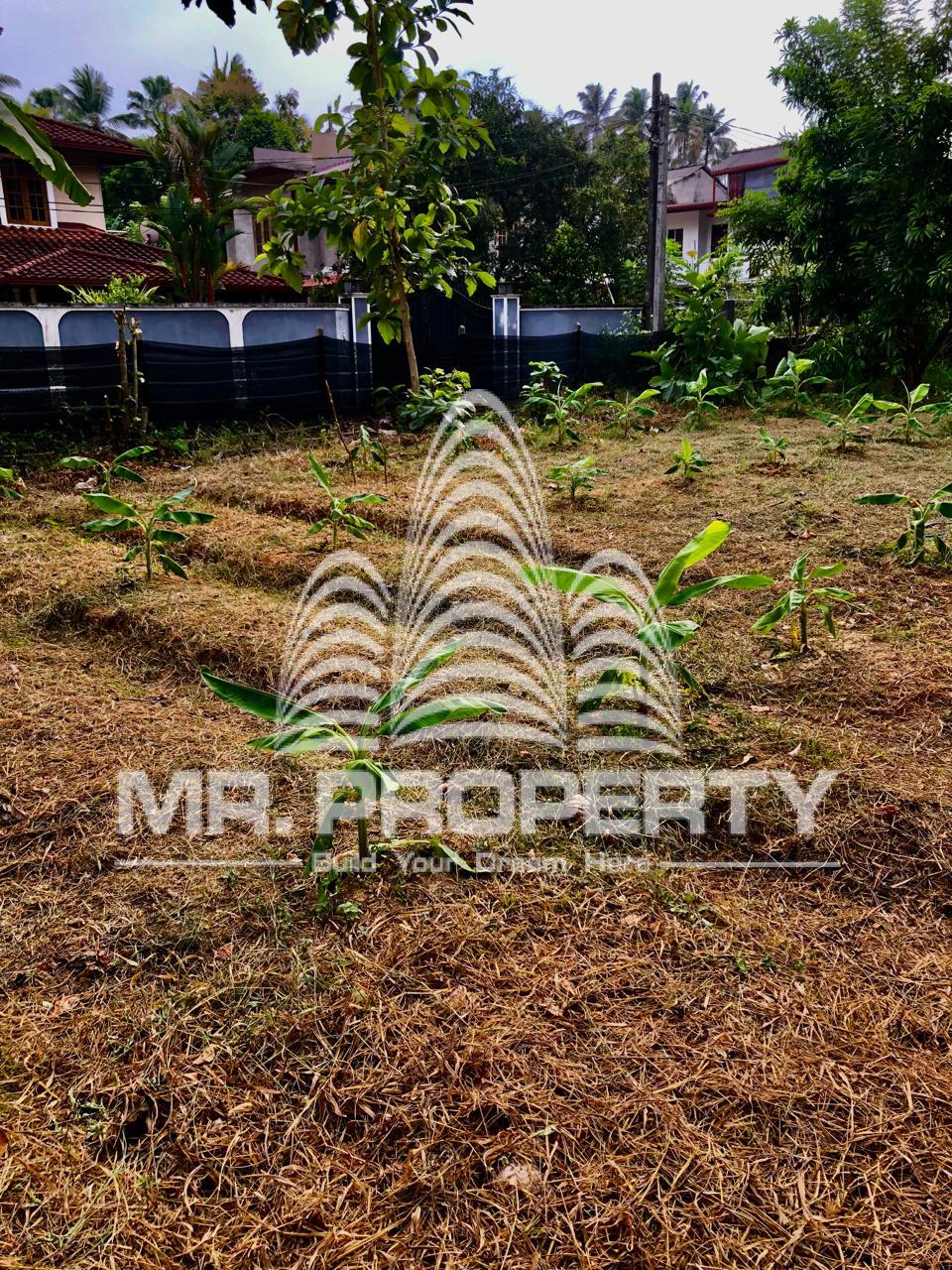 Kaduwela waliwita land for sale