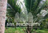 Land for sale minuwangoda