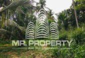 Land for sale minuwangoda
